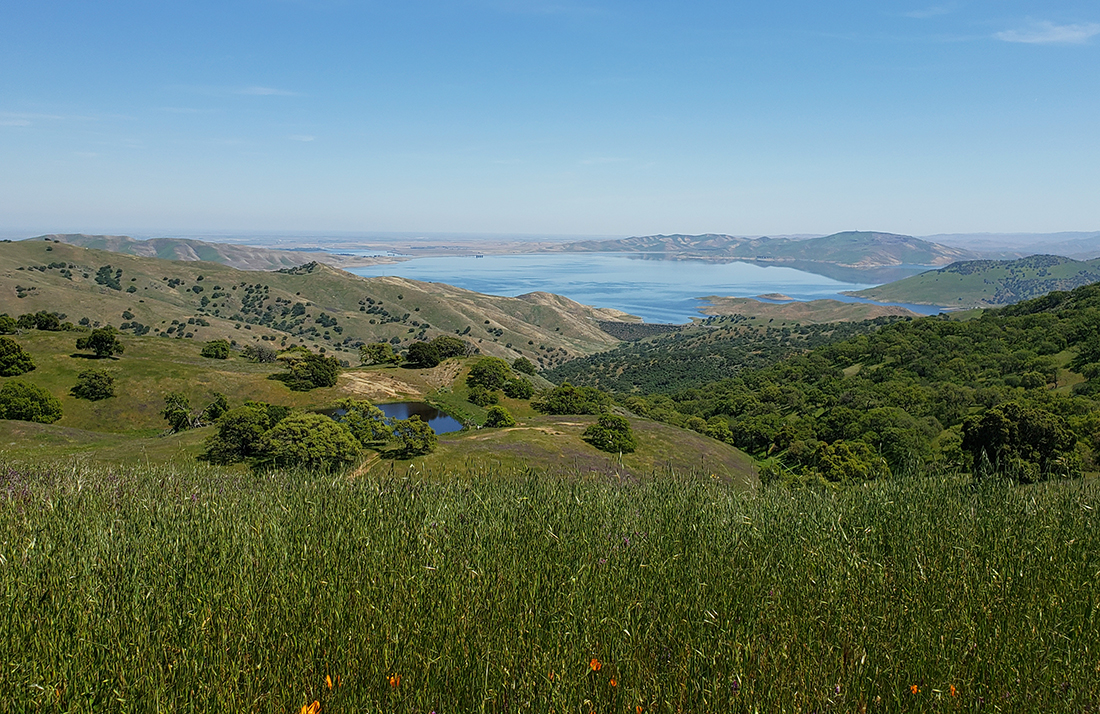 Scenic landscape at San Luis Reservoir Wildlife Area
